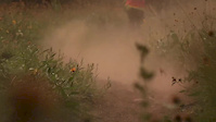 Shadow Mountain