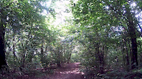 Kalinka Trail, Skawina - objaśnienia