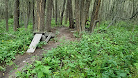 Wood jump into Hillbilly gully