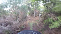 Parahaki trail gap