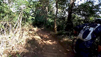 KTH Sutet