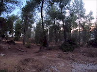 'Shredding In The Dust'