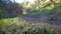 Bottom of Barwon River Trail.