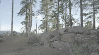 Alt line on Reroot - The Drop