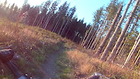Decending Lower Reade Hill Trail