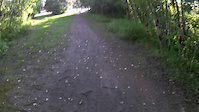 September 4, 2019 Solo MTB Ride (Fireman's...