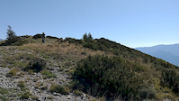 View from the top