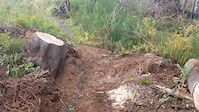 Reade Hill Trail Repair