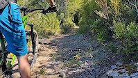 Along Little Bald Hills