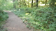 Road 19 connector trail