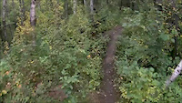 Sept. 14, 2019 MTB Ride with FMBC (Devon DH)
