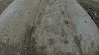 Backyard Trails