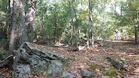 Drop off rock