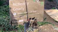 McNearlyGnarly first ride