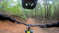 Lower Black Mountain Trail - Pisgah NF