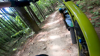 Ridgeline Trail DuPont State Forest