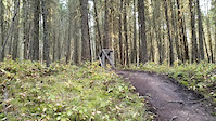 Shuttlebunny wood launcher