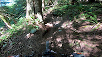 Grin n Holler Jumps
