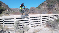Trump Wall