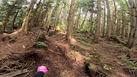 Lets Check Out some Cypress Mountain GNAR!