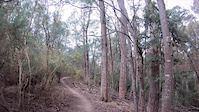 Upper Loam Line