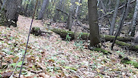 Log Roll at Grand View Grind trail, Oct 8, 2019