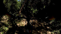 Nuovo Canyon Trail