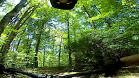 Buckwheat Knob Trail Pisgah National Forest