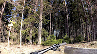 Kienberg Trail