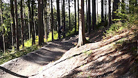 Jumpline run at Schöneck Bikepark