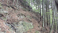 Short Impression Cima di Dentro sopra
