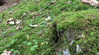 Short Impression Schönegg Trail