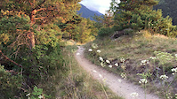 Morter-Trail