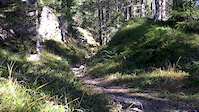 Brombenz Trail