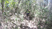 Fim do bosteiro