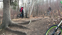 Dennis attacking the rooty drop off at Selkirk