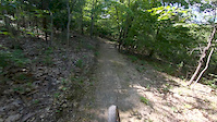 Tree Gap Jump