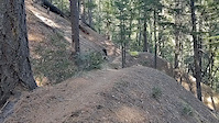 LaGrange Ditch Berm