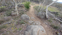 Pink trail clip