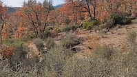 McKenzie Gulch Trail in the Fall