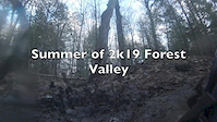 Summer in forest valley 2k19