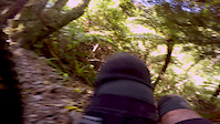Pesky root on Te Ara Koa