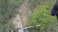 Big Hole trail II