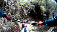 Jungle Mountain Biking Brazil