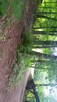Red Bull Drop Mountain Creek NJ