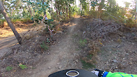 Rabbit trail