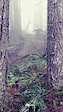 Runaround with dense fog