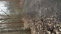 Trail in Durme river valley