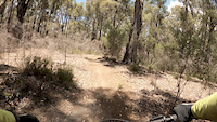 Bike Meets Tree