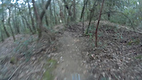 Lower part of the track